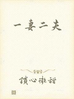 一妻二夫封面