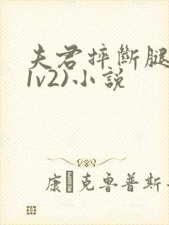 夫君摔断腿后(1v2)小说