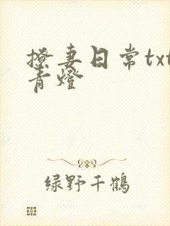撩妻日常txt青灯