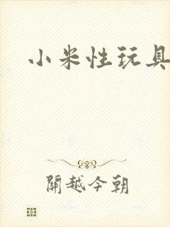 小米性玩具日记