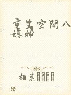 重生空间八零小媳妇