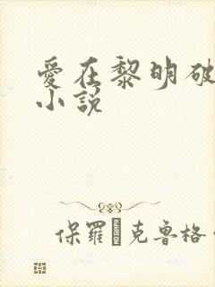 爱在黎明破晓前小说