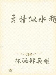 柔情似水赵雅儿