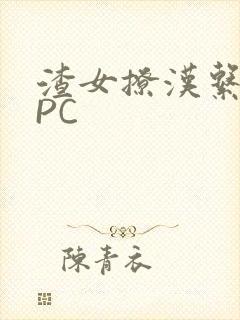 渣女撩汉系统NPC