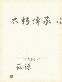 不朽传承 小说封面