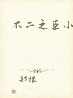 不二之臣小说封面