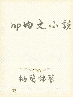 np肉文小说