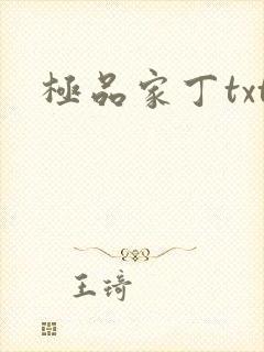 极品家丁txt