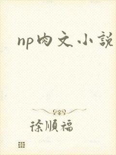 np肉文小说封面
