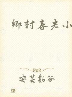 乡村春光小说封面