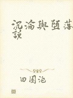 沉沦与堕落的小说封面