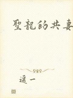圣龙的共妻
