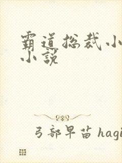 霸道总裁小娇妻小说封面