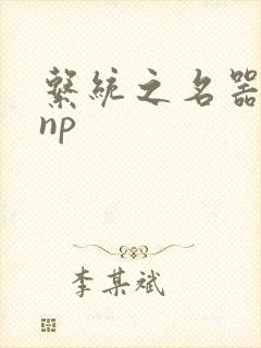 系统之名器攻略np