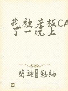 我被老板CAO了一晚上