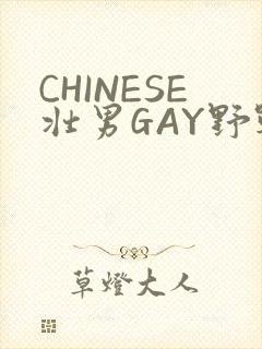 CHINESE壮男GAY野战强迫TUBE封面
