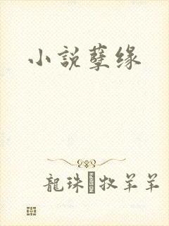 小说孽缘