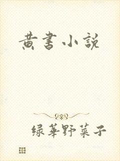 黄书小说