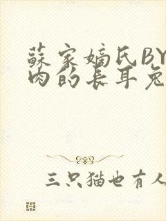 苏家嫡氏BY吃肉的长耳兔