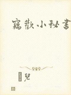 窃欢小秘书封面