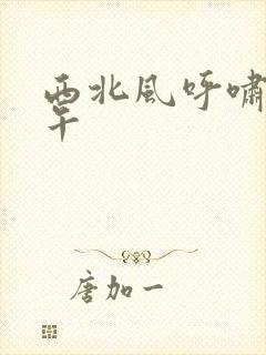 西北风呼啸的中午封面