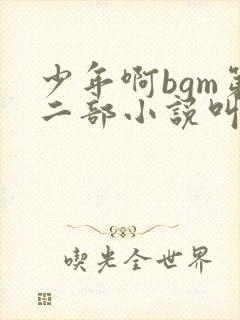 少年啊bgm第二部小说叫什么