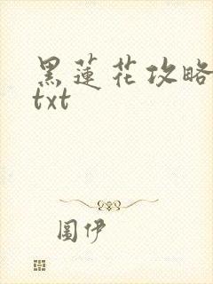 黑莲花攻略手册txt