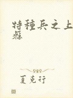 特种兵之上你成瘾封面