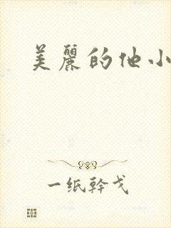 美丽的他小说