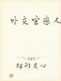外交官恋人小说封面
