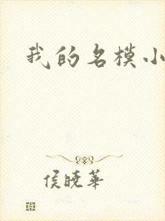 我的名模小娇妻封面