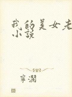 我的美女老板 小说
