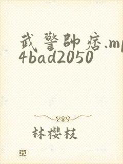 武警帅痞.mp4bad2050