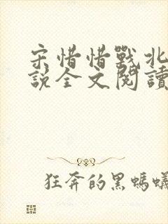 宋惜惜战北望小说全文阅读