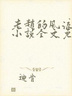 老赵的风流人生小说全文免费阅读