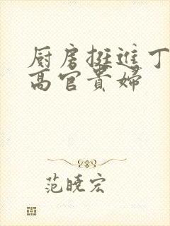 厨房挺进丁字裤高官贵妇封面