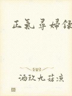 正气寻妇录封面