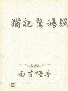 犹记惊鸿照影封面