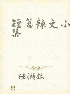 短篇辣文小说合集