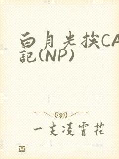 白月光挨CAO记(NP)