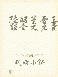 陆昭菱晋王的小说全文免费阅读