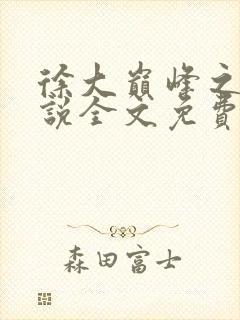 徐大巅峰之路小说全文免费阅读