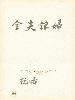 金夫银妇封面