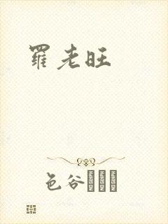 罗老旺封面