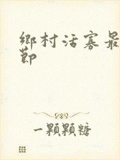 乡村活寡最新章节