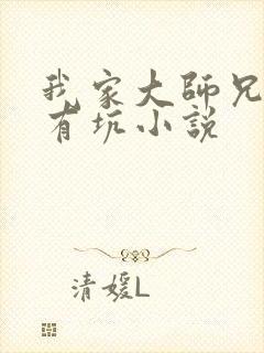 我家大师兄脑子有坑小说封面