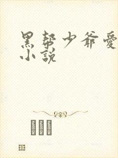 黑帮少爷爱上我小说