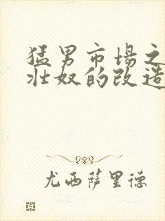 猛男市场之肌肉壮奴的改造封面