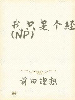 我只是个经纪人(NP)