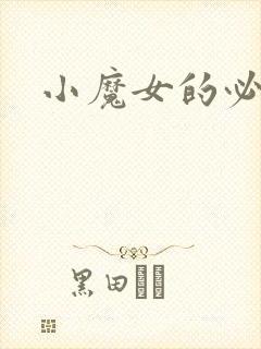 小魔女的必杀技封面
